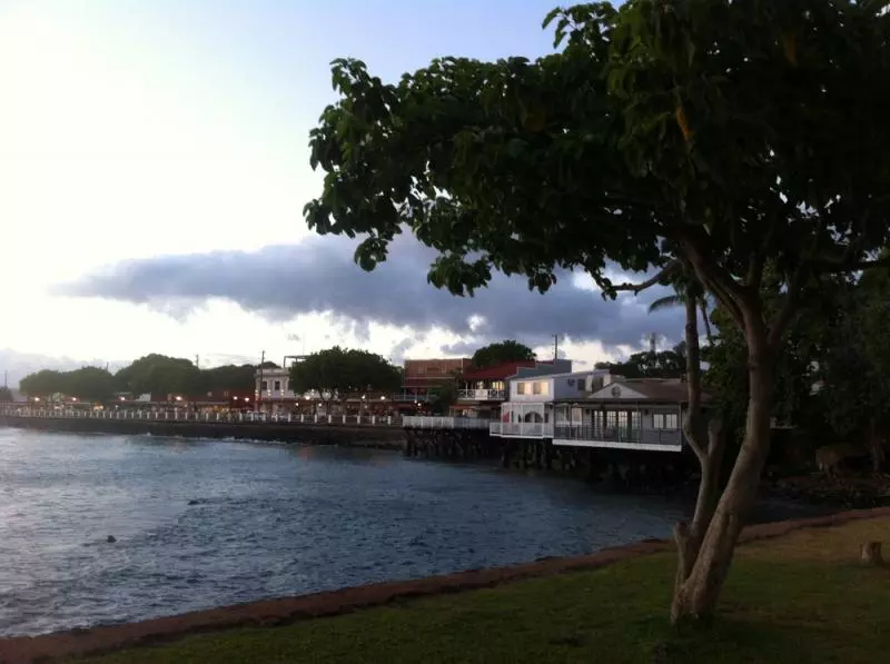 Hawaii (c) Alena Gavrilova